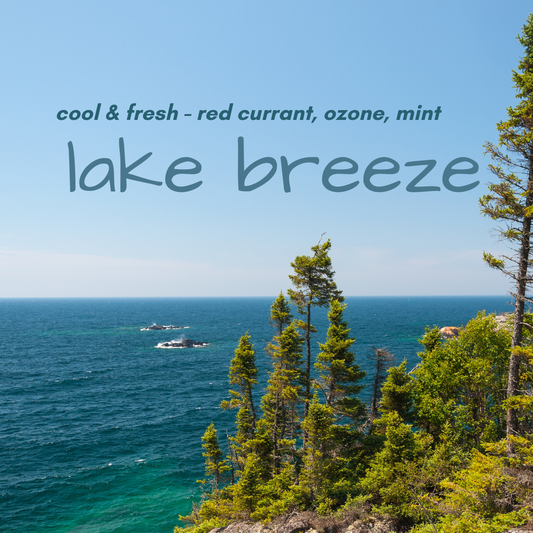 Wax Melt - Lake Breeze