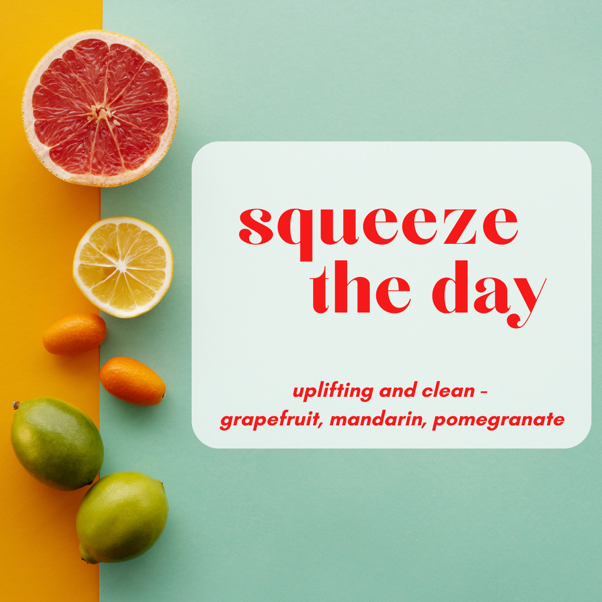 Wax Melt - Squeeze the Day